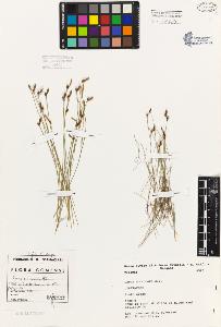 SW_BNB_s3080-01875_IMG-0000000001