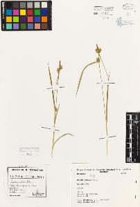 SW_BNB_s3080-01876_IMG-0000000001