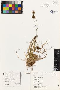 SW_BNB_s3080-01877_IMG-0000000001