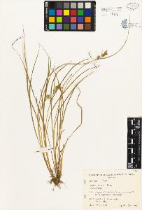SW_BNB_s3080-01878_IMG-0000000001