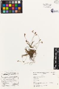 SW_BNB_s3080-01879_IMG-0000000001