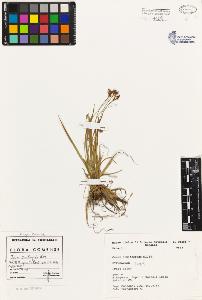SW_BNB_s3080-01880_IMG-0000000001