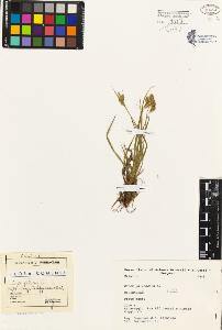 SW_BNB_s3080-01886_IMG-0000000001