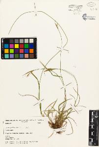 SW_BNB_s3080-01888_IMG-0000000001