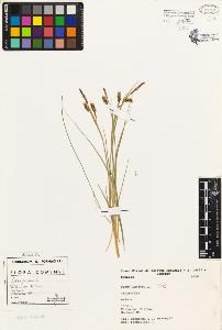SW_BNB_s3080-01891_IMG-0000000001