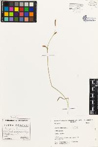 SW_BNB_s3080-01892_IMG-0000000001