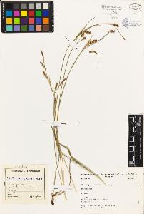 SW_BNB_s3080-01894_IMG-0000000001
