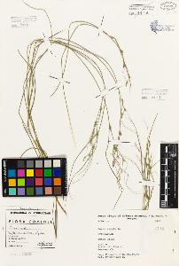 SW_BNB_s3080-01903_IMG-0000000001