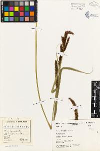 SW_BNB_s3080-01906_IMG-0000000001