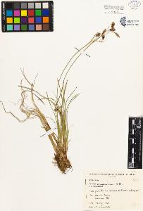 SW_BNB_s3080-01910_IMG-0000000001