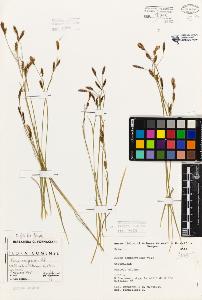SW_BNB_s3080-01912_IMG-0000000001
