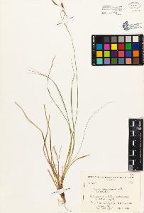 SW_BNB_s3080-01915_IMG-0000000001