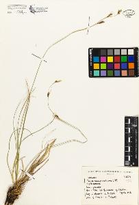 SW_BNB_s3080-01916_IMG-0000000001