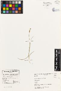 SW_BNB_s3080-01920_IMG-0000000001
