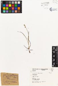 SW_BNB_s3080-01921_IMG-0000000001