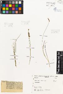 SW_BNB_s3080-01923_IMG-0000000001