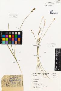SW_BNB_s3080-01924_IMG-0000000001