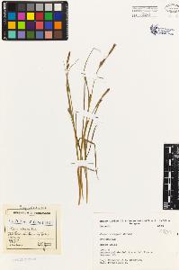 SW_BNB_s3080-01925_IMG-0000000001