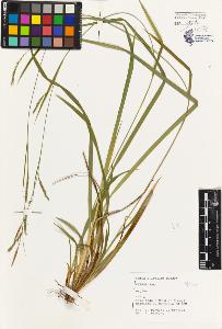 SW_BNB_s3080-01927_IMG-0000000001