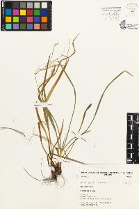 SW_BNB_s3080-01929_IMG-0000000001