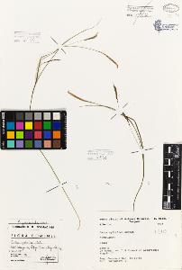 SW_BNB_s3080-01932_IMG-0000000001