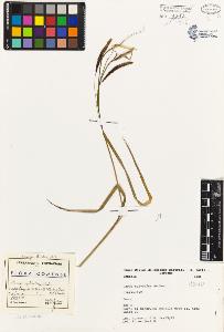 SW_BNB_s3080-01935_IMG-0000000001