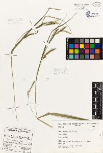 SW_BNB_s3080-01936_IMG-0000000001