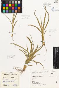 SW_BNB_s3080-01937_IMG-0000000001