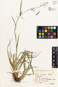 SW_BNB_s3080-01939_IMG-0000000001