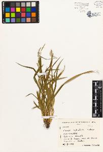 SW_BNB_s3080-01940_IMG-0000000001