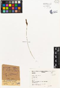 SW_BNB_s3080-01941_IMG-0000000001