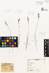SW_BNB_s3080-01942_IMG-0000000001