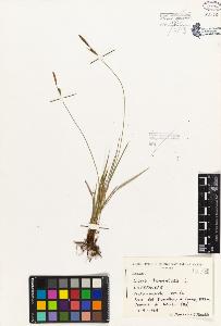 SW_BNB_s3080-01943_IMG-0000000001