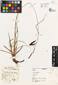 SW_BNB_s3080-01946_IMG-0000000001
