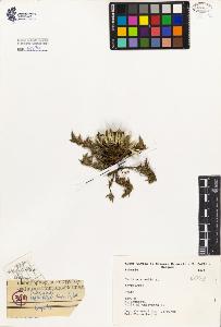 SW_BNB_s3080-01949_IMG-0000000001