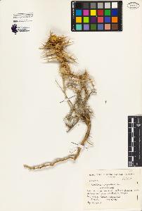 SW_BNB_s3080-01951_IMG-0000000001