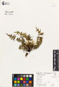 SW_BNB_s3080-01952_IMG-0000000001