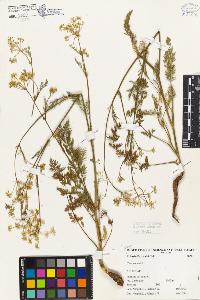 SW_BNB_s3080-01958_IMG-0000000001