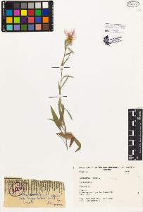 SW_BNB_s3080-01962_IMG-0000000001