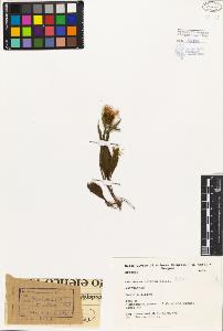 SW_BNB_s3080-01963_IMG-0000000001