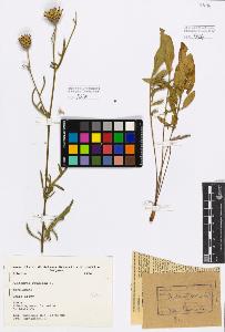 SW_BNB_s3080-01967_IMG-0000000001