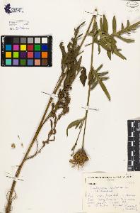 SW_BNB_s3080-01968_IMG-0000000001