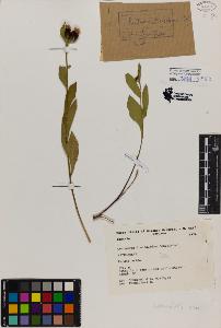 SW_BNB_s3080-01971_IMG-0000000001