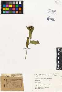SW_BNB_s3080-01972_IMG-0000000001