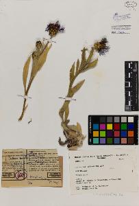 SW_BNB_s3080-01973_IMG-0000000001