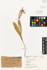 SW_BNB_s3080-01974_IMG-0000000001