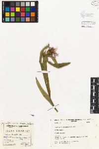 SW_BNB_s3080-01975_IMG-0000000001
