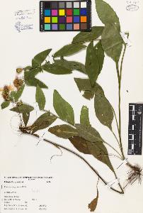 SW_BNB_s3080-01978_IMG-0000000001