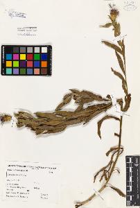 SW_BNB_s3080-01979_IMG-0000000001
