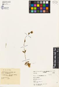 SW_BNB_s3080-01981_IMG-0000000001